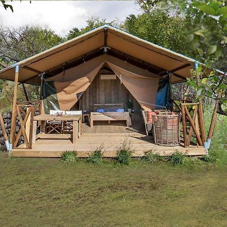 Glamping Alcantara Motta Camastra الغرفة الصورة